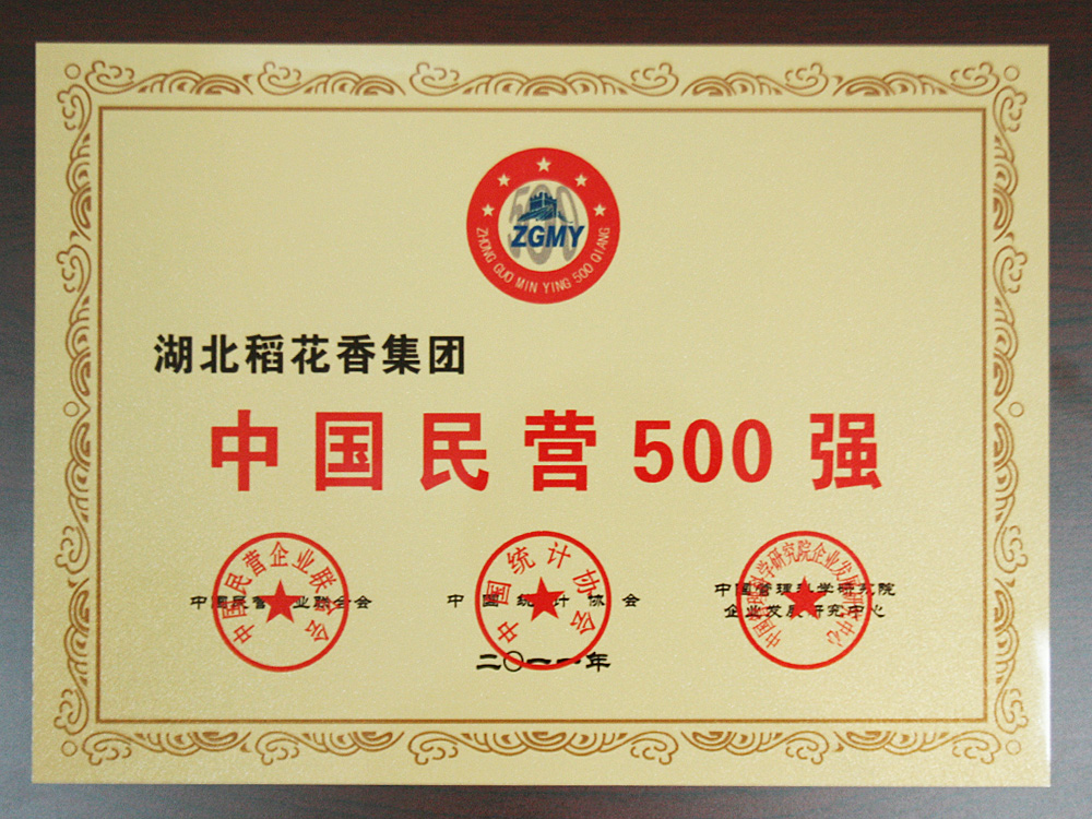 2011年中国民营企业500强